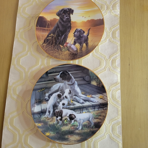 Bundle of 2 decorative collector dog plates - Pointer and Lab - Picture 2 of 8